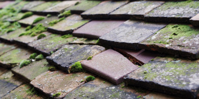 Walsall roof repair costs
